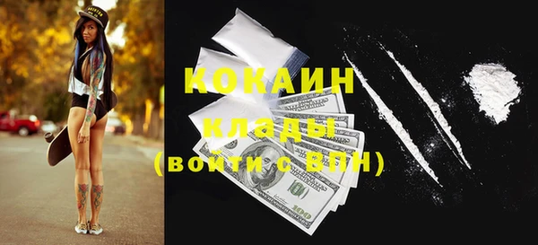 твердый Алексин