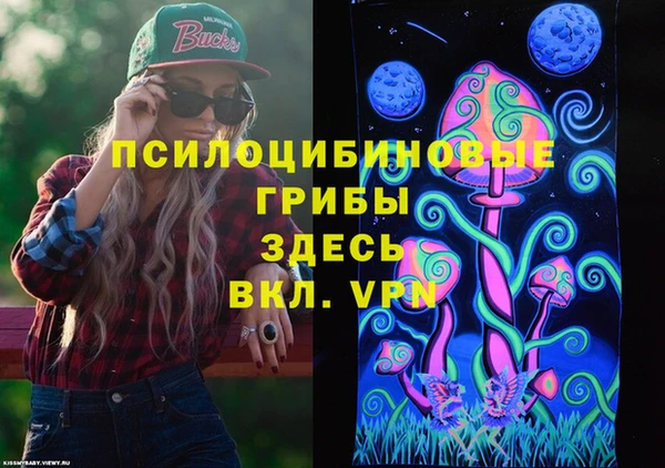 твердый Алексин