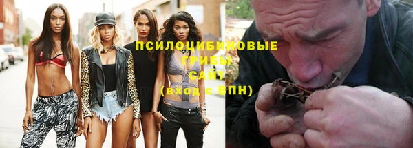 круглые Алзамай